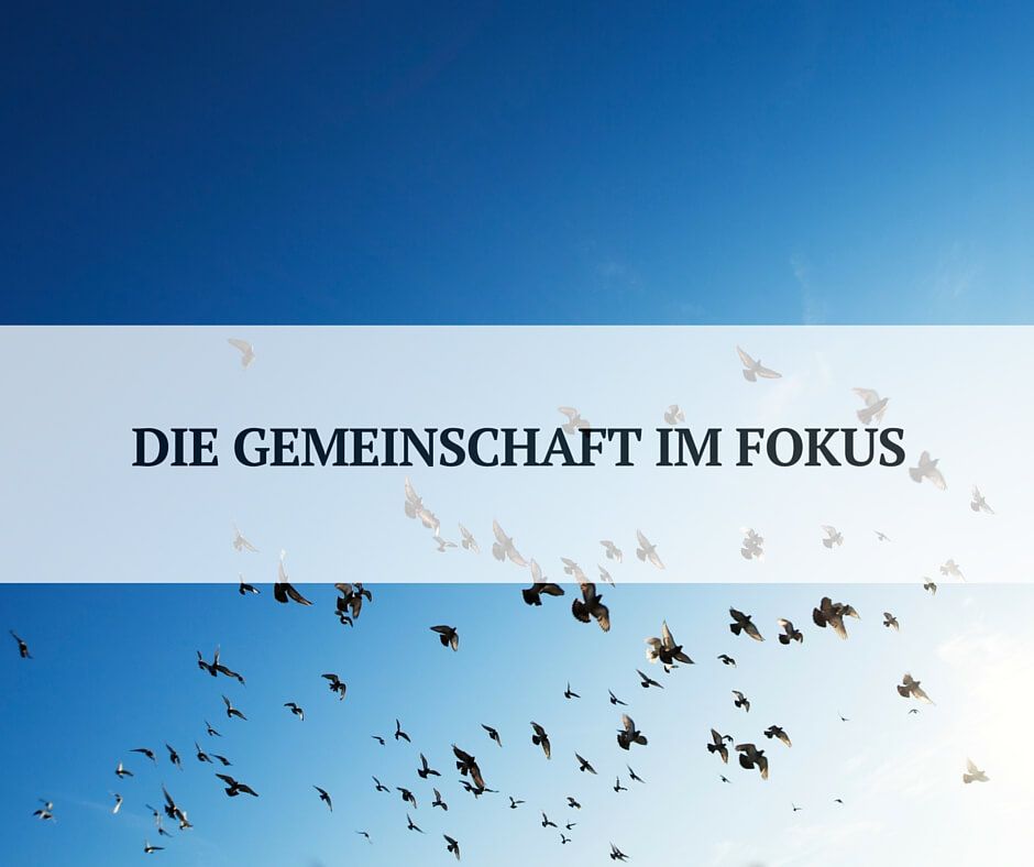 Gemeinschaft zwischen Kollaboration und Wettbewerb Gemeinschaft zwischen Kollaboration und Wettbewerb