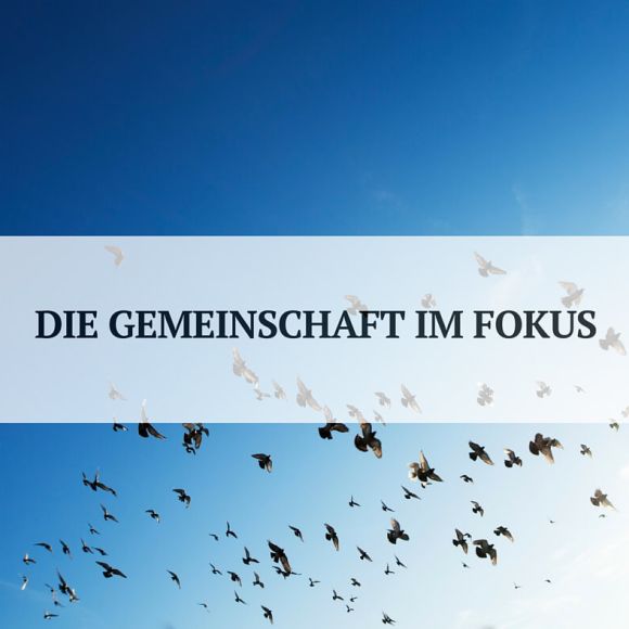 Gemeinschaft zwischen Kollaboration und Wettbewerb Gemeinschaft zwischen Kollaboration und Wettbewerb