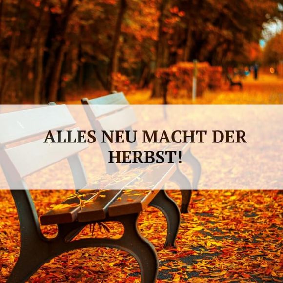 Alles neu macht der Herbst Alles neu macht der Herbst