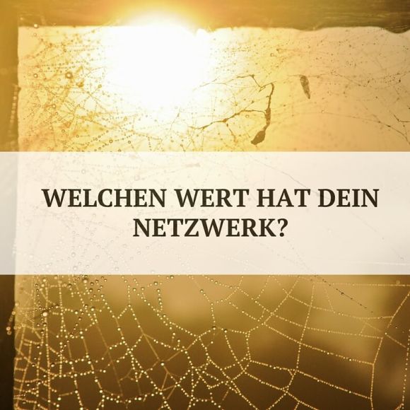 Der Wert sozialer Netzwerke Der Wert sozialer Netzwerke