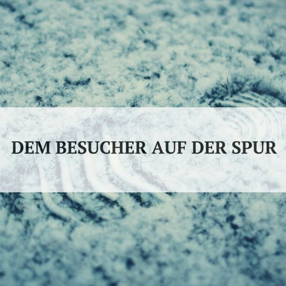 Datenschutz bei der Webseitenanalyse Datenschutz bei der Webseitenanalyse