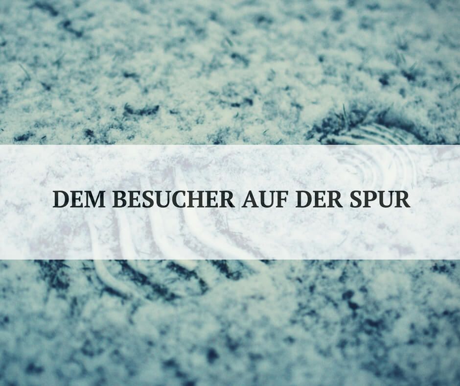 Datenschutz bei der Webseitenanalyse Datenschutz bei der Webseitenanalyse
