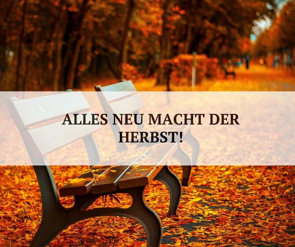 Alles neu macht der Herbst Alles neu macht der Herbst