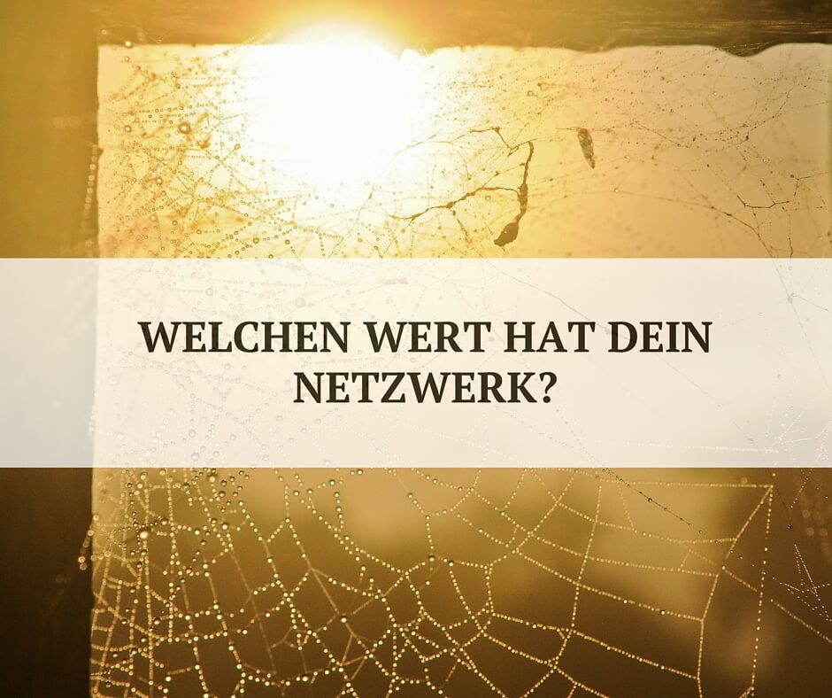 Der Wert sozialer Netzwerke Der Wert sozialer Netzwerke